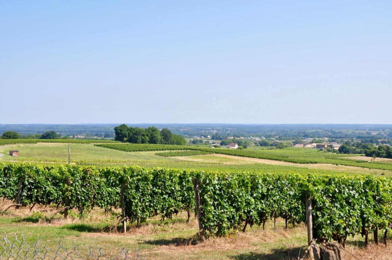 CLOS SAINT SAUVEUR - guesthouse au coeur des vignes sur le coteau Extérieur photo